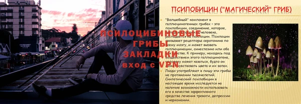 ешки Чита